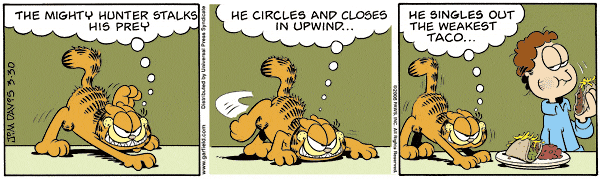 garfield